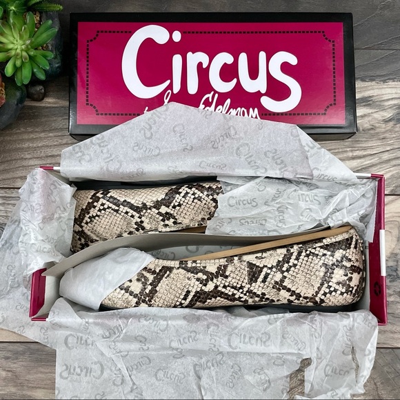NIB Circus by Sam Edelman Colleen Skimmer Flats - Picture 12 of 13